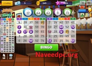 Bingo Numbers 2024 Crack + Serial Key Version Download